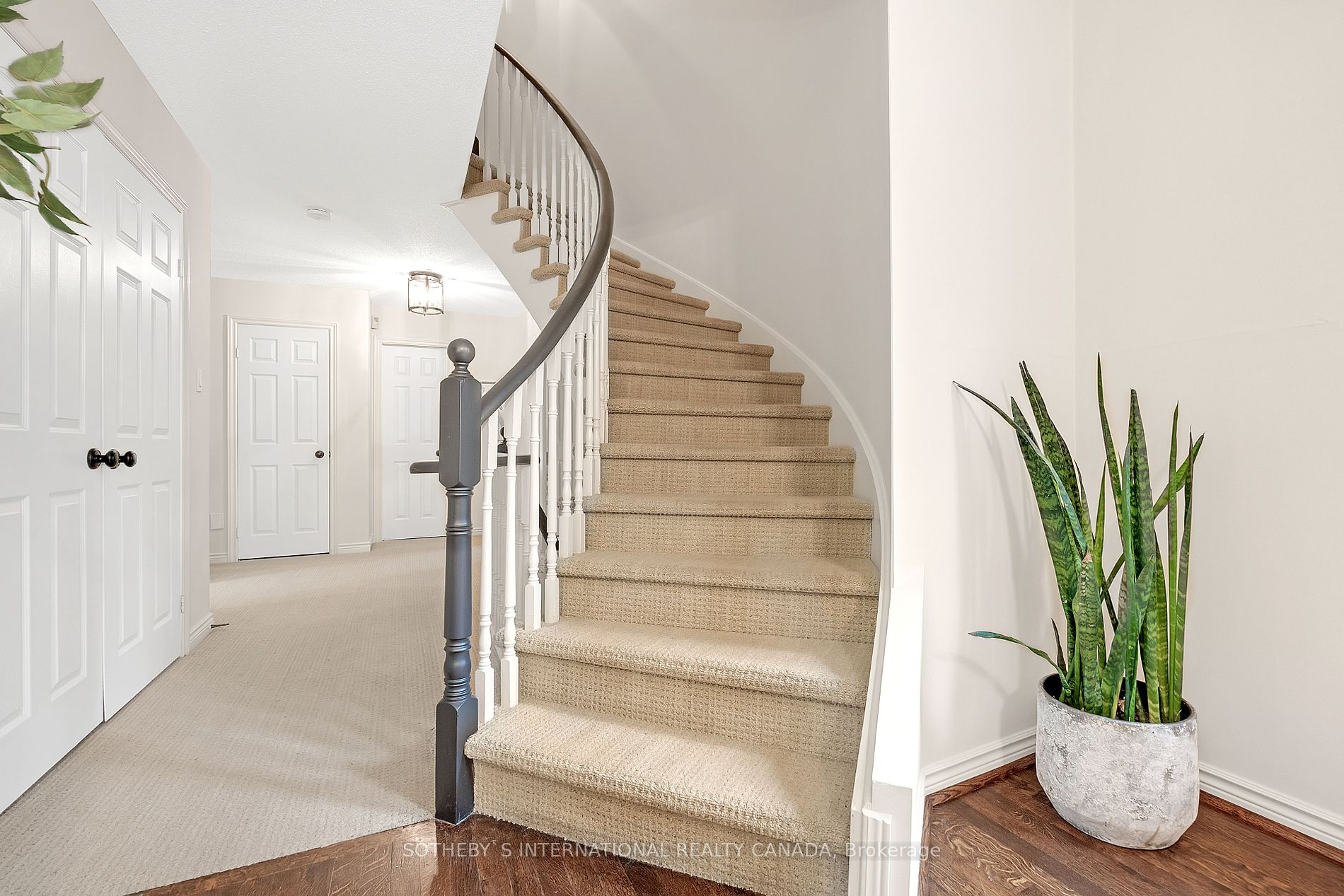 5 Williamson Terrace