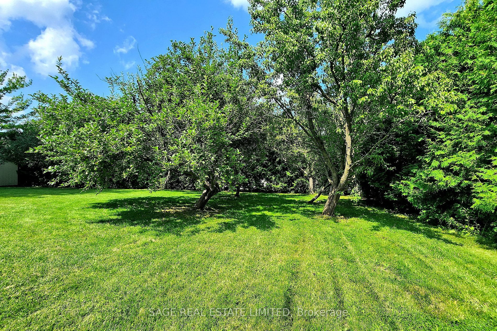 117 Humber Valley Cres