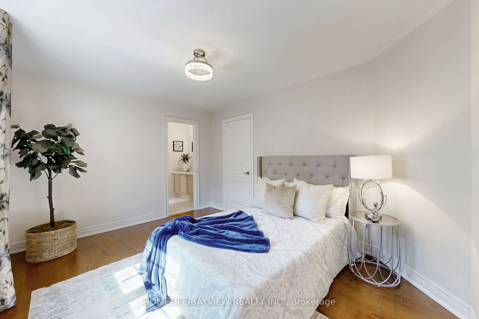 381 Maria Antonia Rd