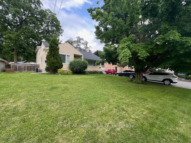 53 Peter St