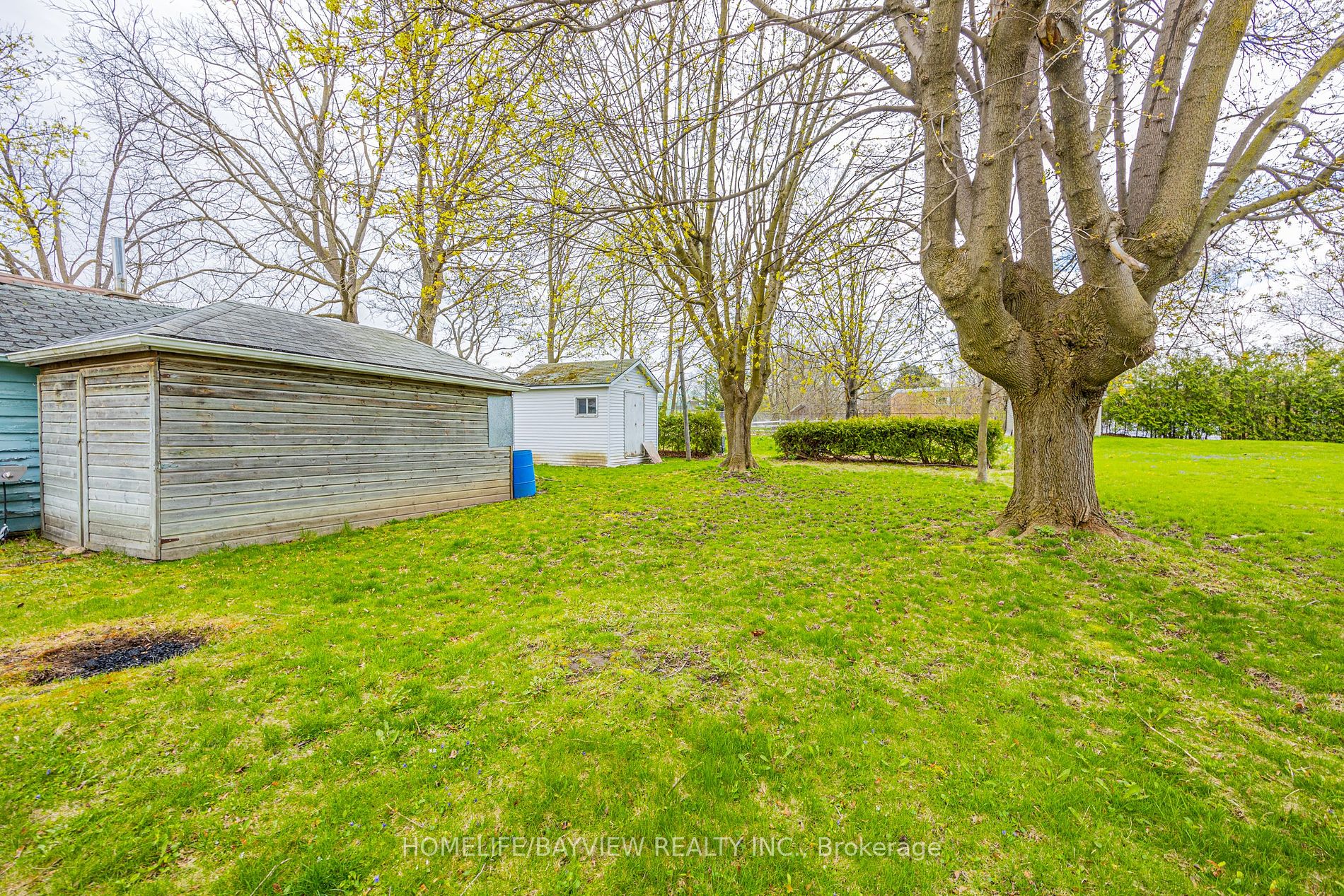 164 Eagle Street, #Upper