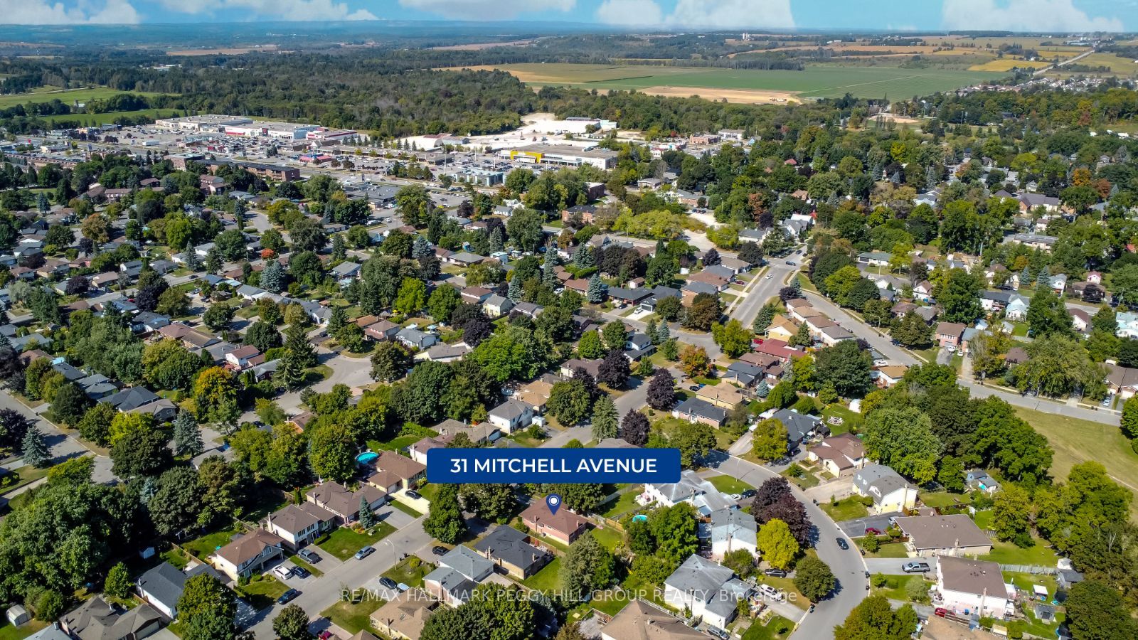 31 Mitchell Ave