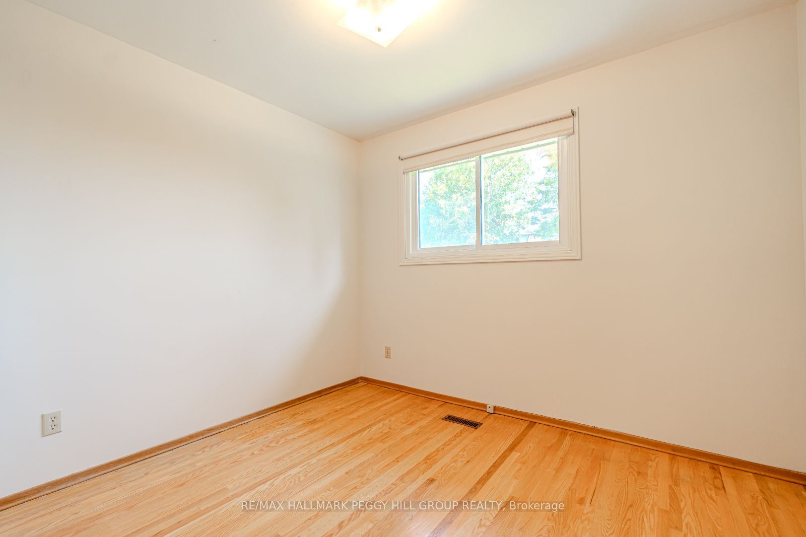 31 Mitchell Ave