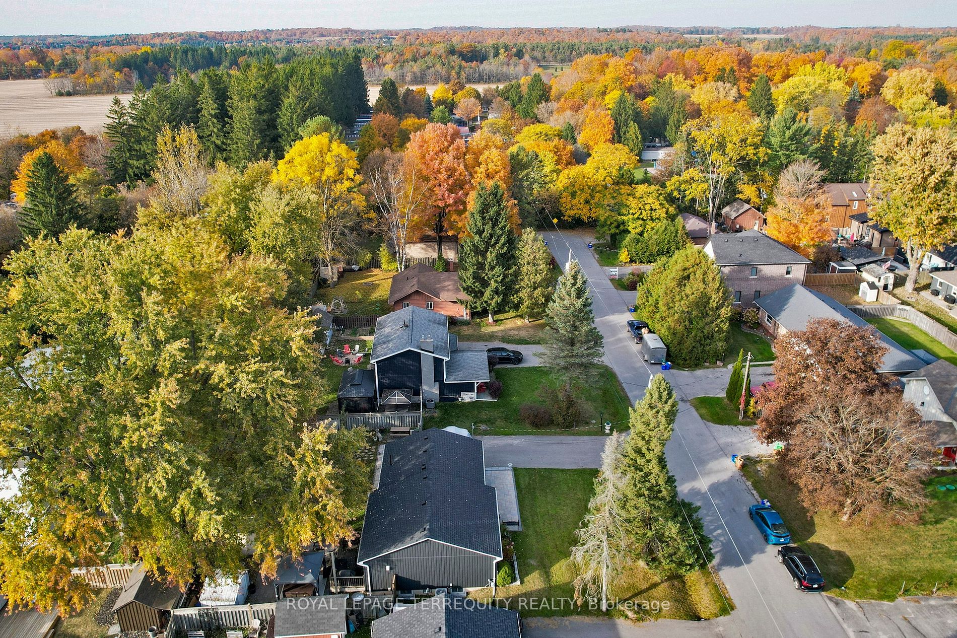 36 Elmvale Blvd
