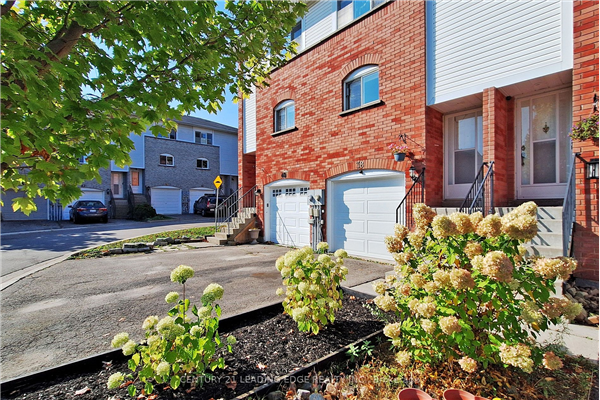 38 William Curtis Circ