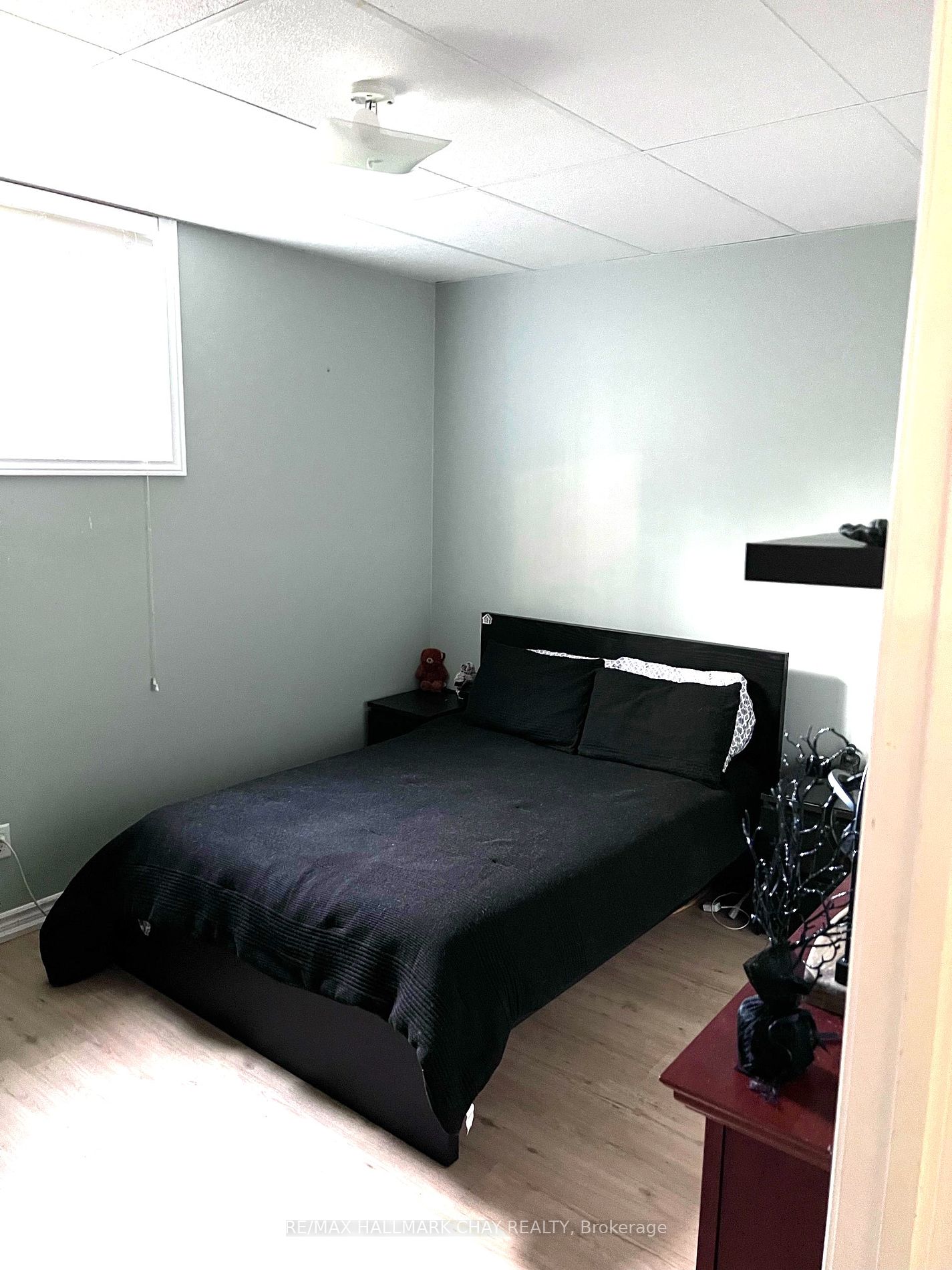 133 Monique Cres, #lower