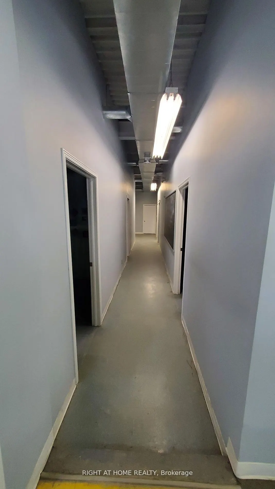 20 Balsam Street, #6