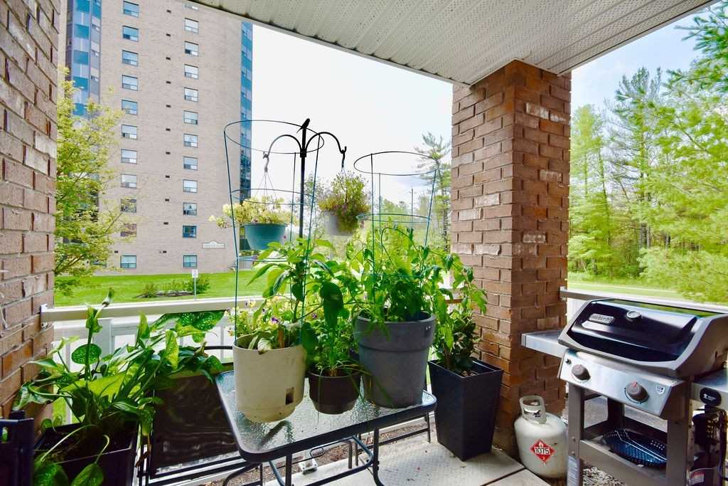 43 Coulter St, #1