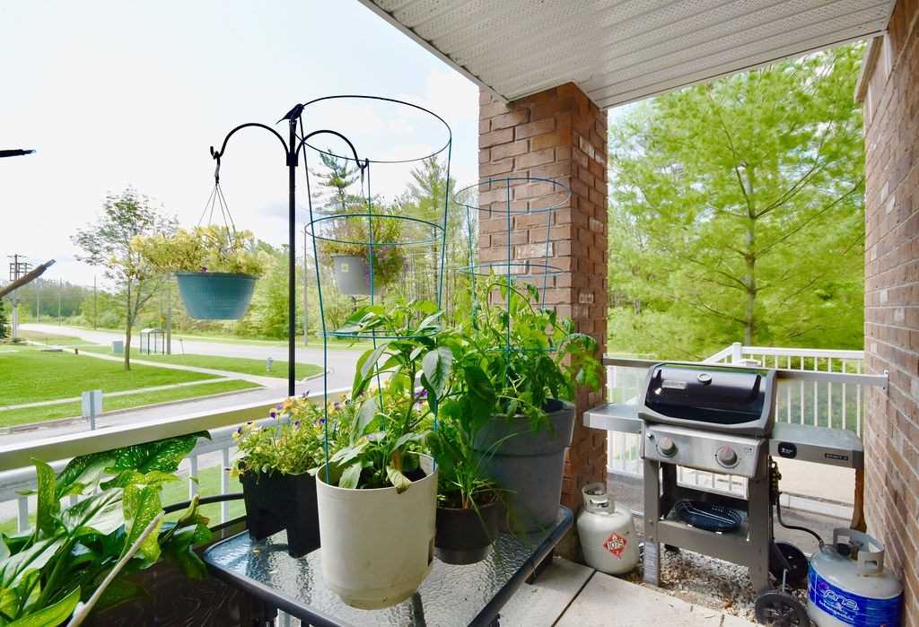 43 Coulter St, #1