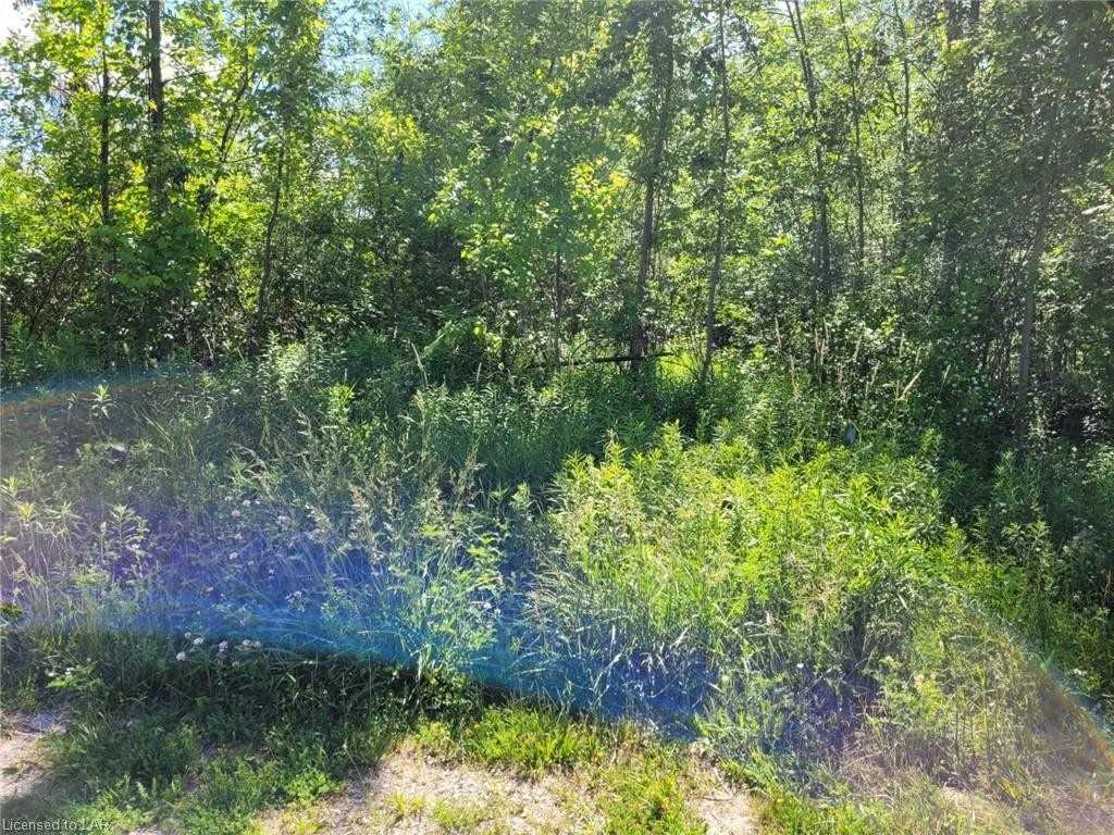 Listing S5514593 - Large Photo # 1