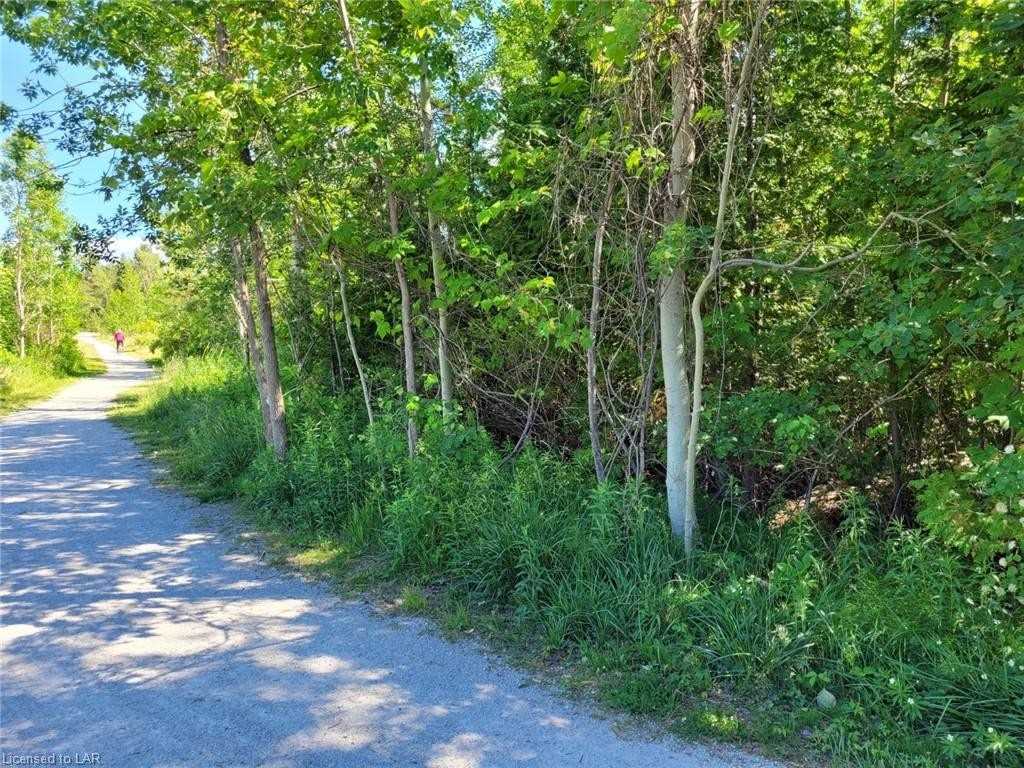 Listing S5514593 - Large Photo # 5