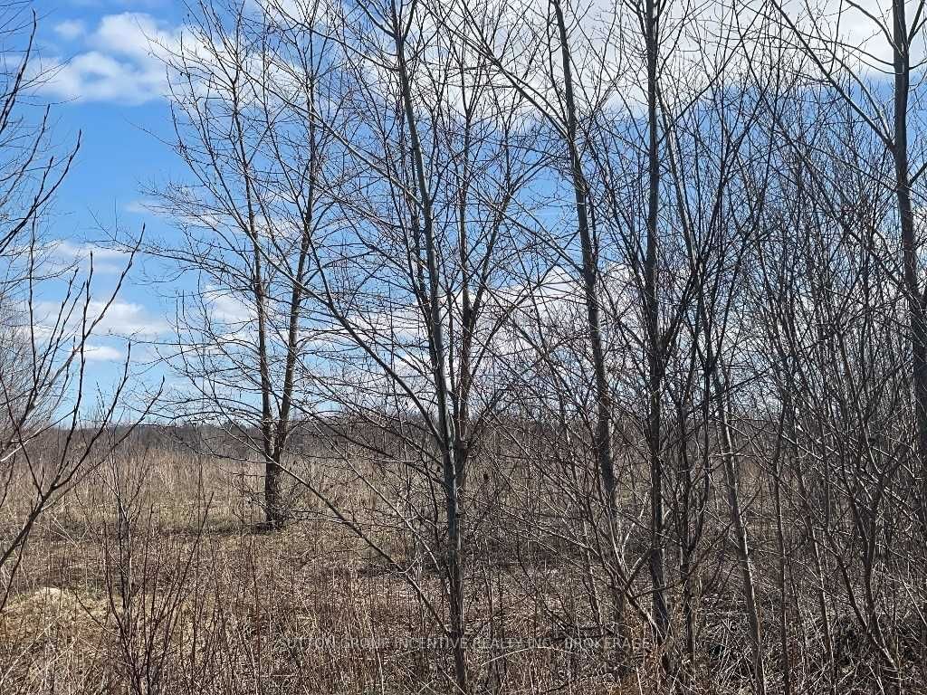 Listing S5585761 - Large Photo # 2