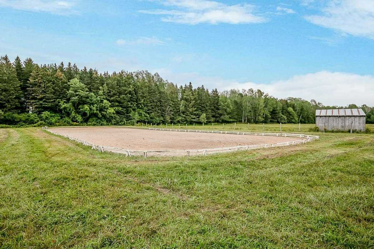 Listing S5605894 - Large Photo # 34