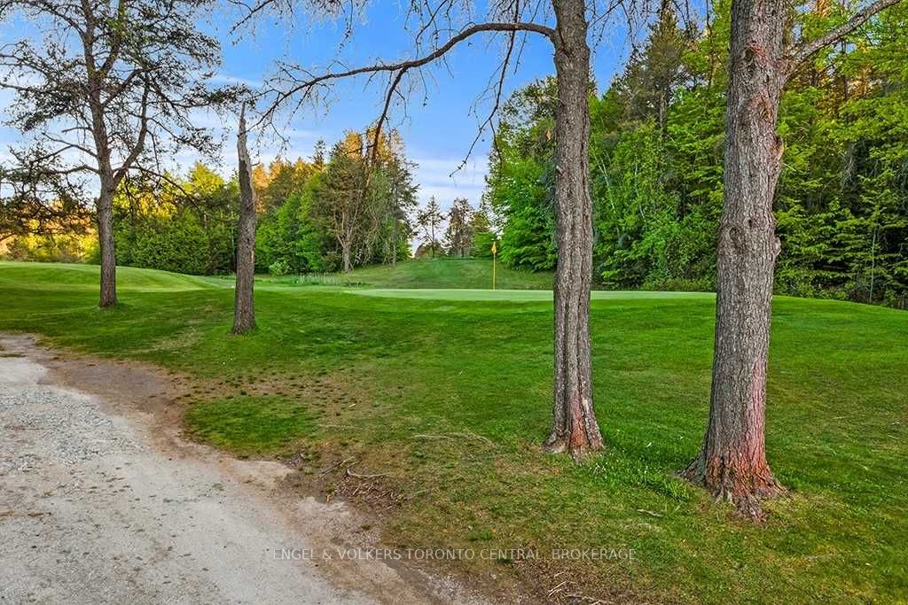 Listing S5646617 - Large Photo # 14