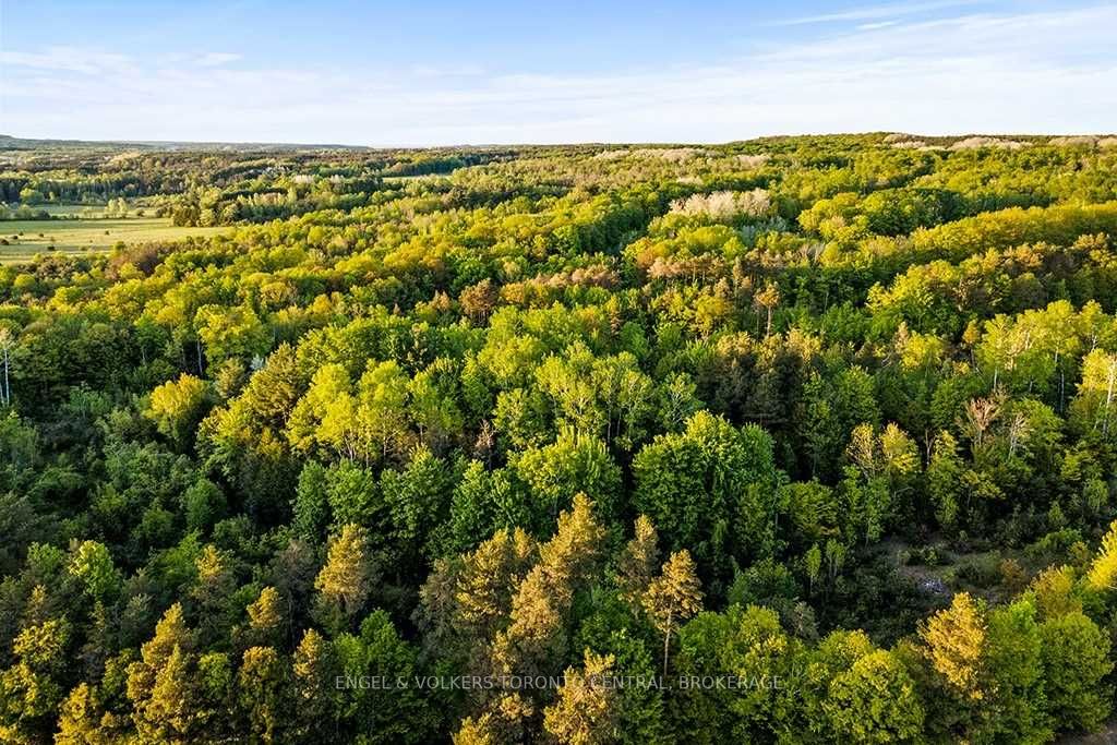 Listing S5646617 - Large Photo # 7