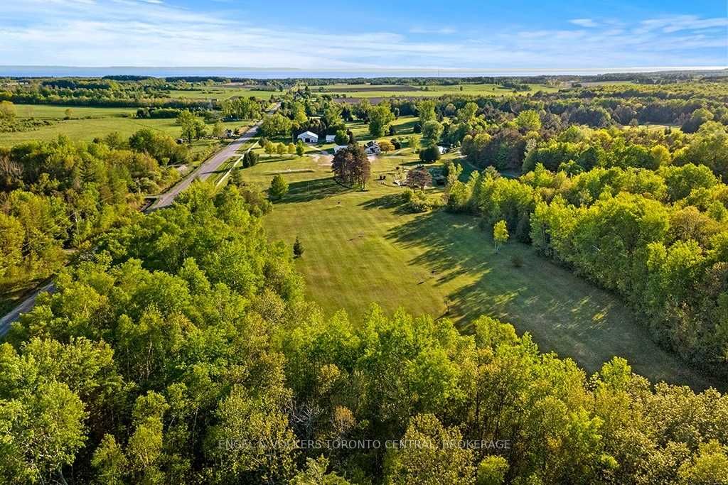 Listing S5646617 - Large Photo # 5