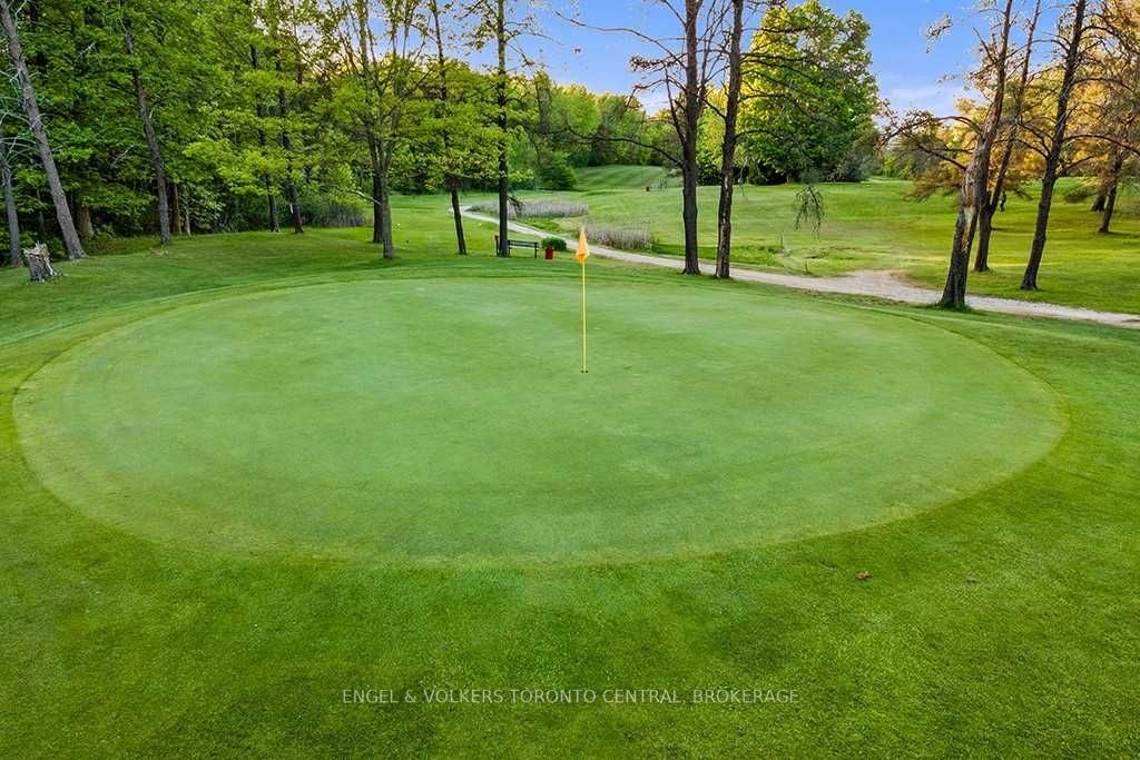 Listing S5646617 - Large Photo # 13