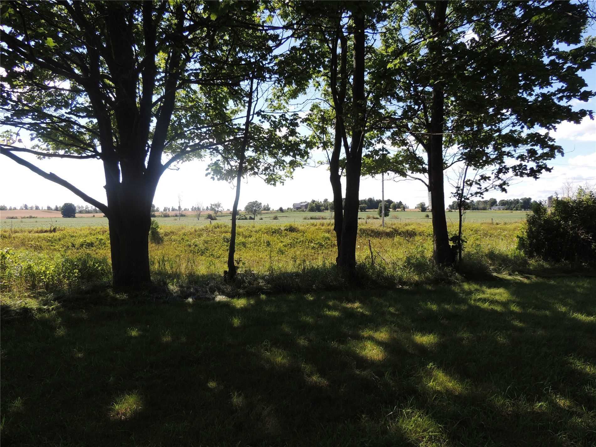 Listing S5733808 - Large Photo # 6