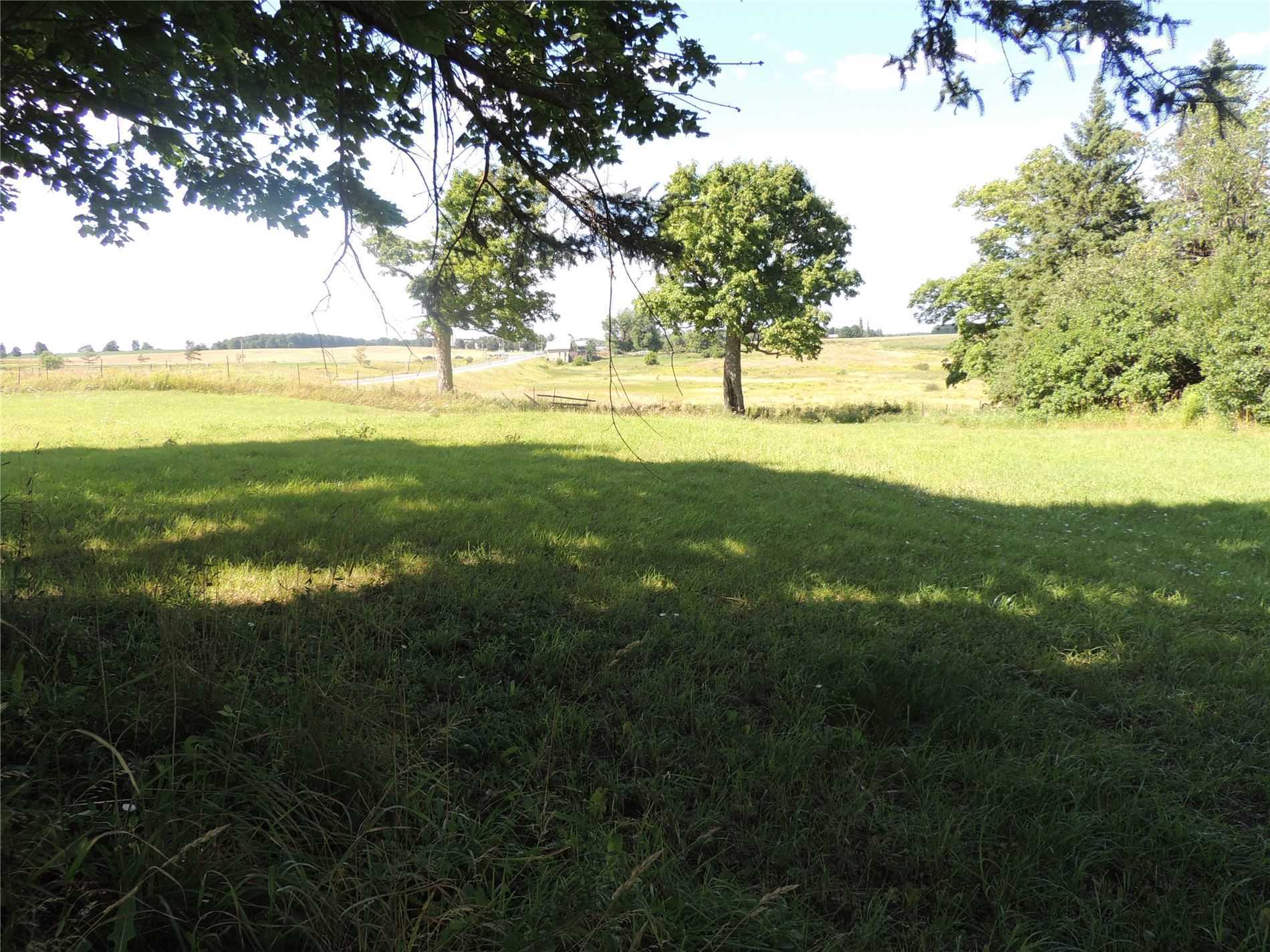 Listing S5733808 - Large Photo # 7