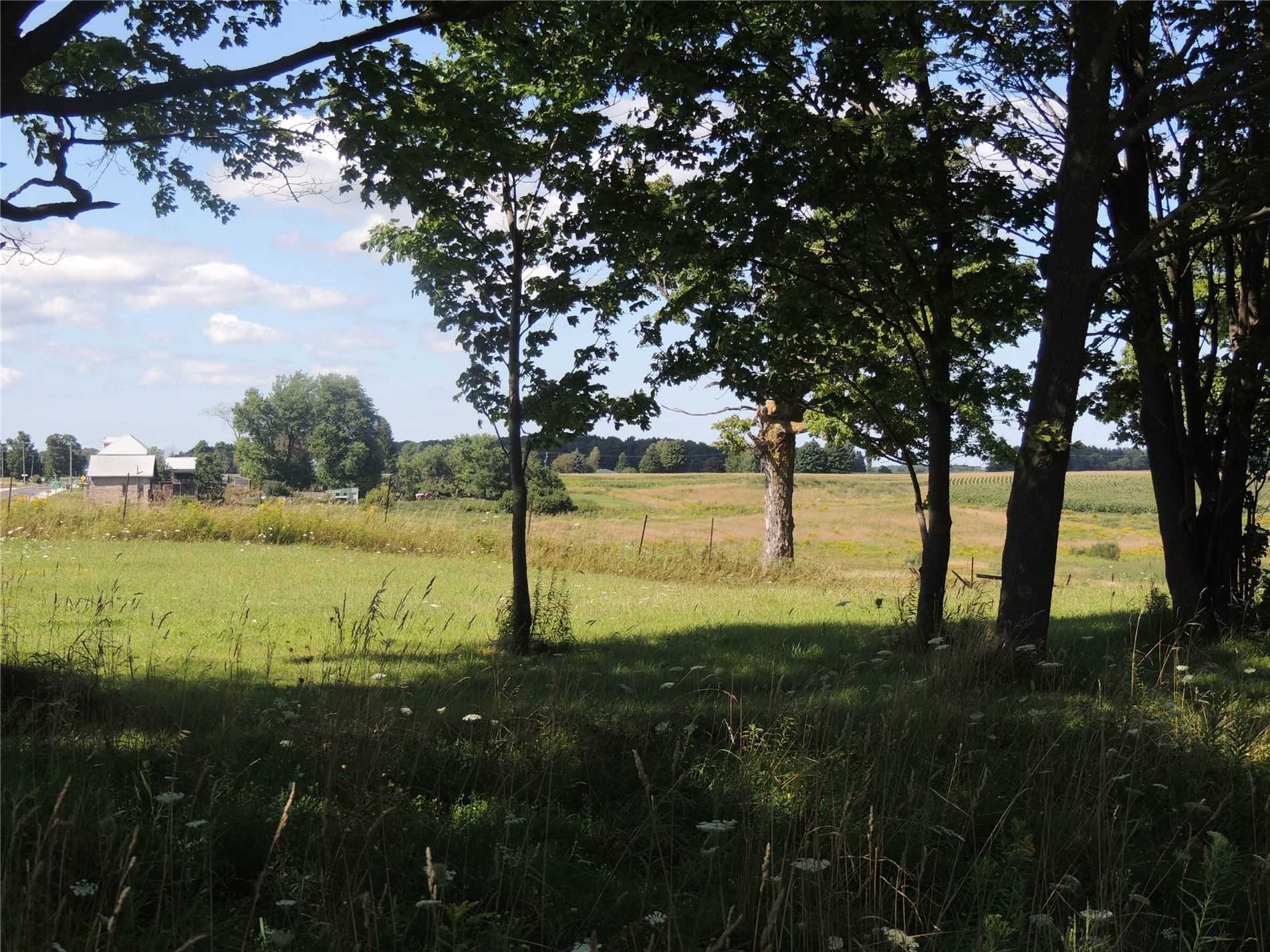 Listing S5733808 - Large Photo # 5