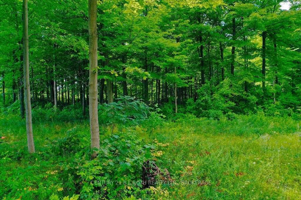 Listing S5744392 - Large Photo # 6
