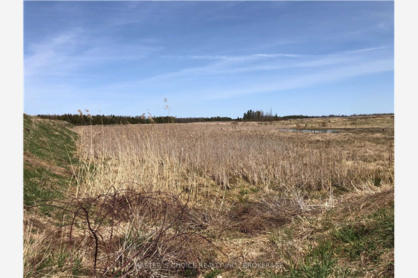 1131 Concession Rd 5 Rd, Ramara