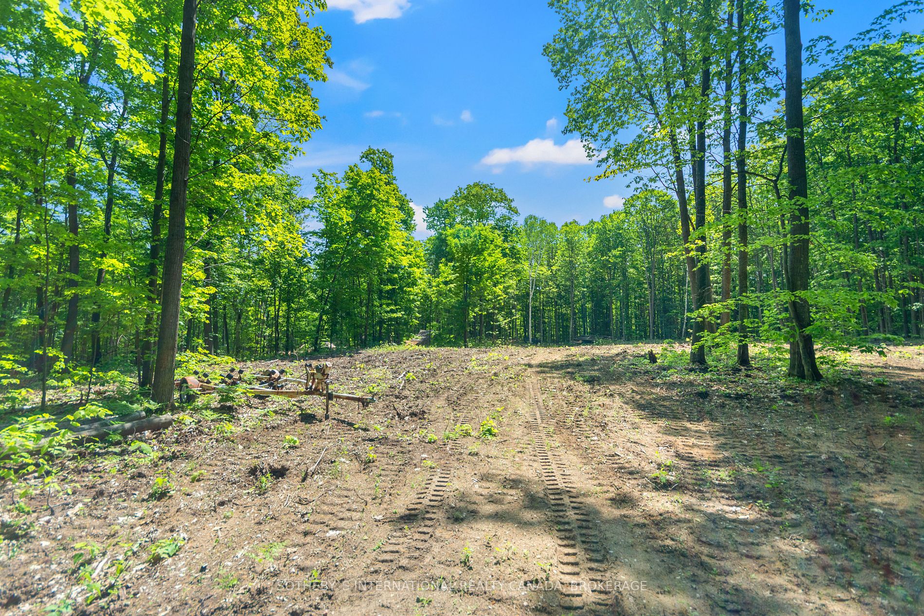 Listing S5814022 - Large Photo # 2