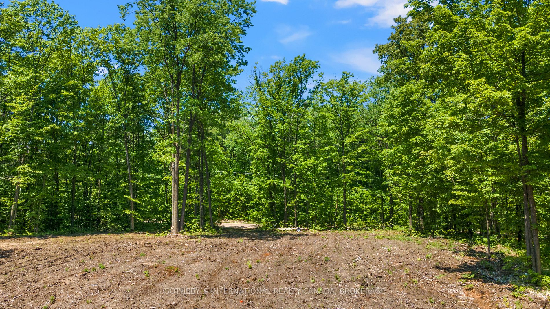 Listing S5814022 - Large Photo # 3