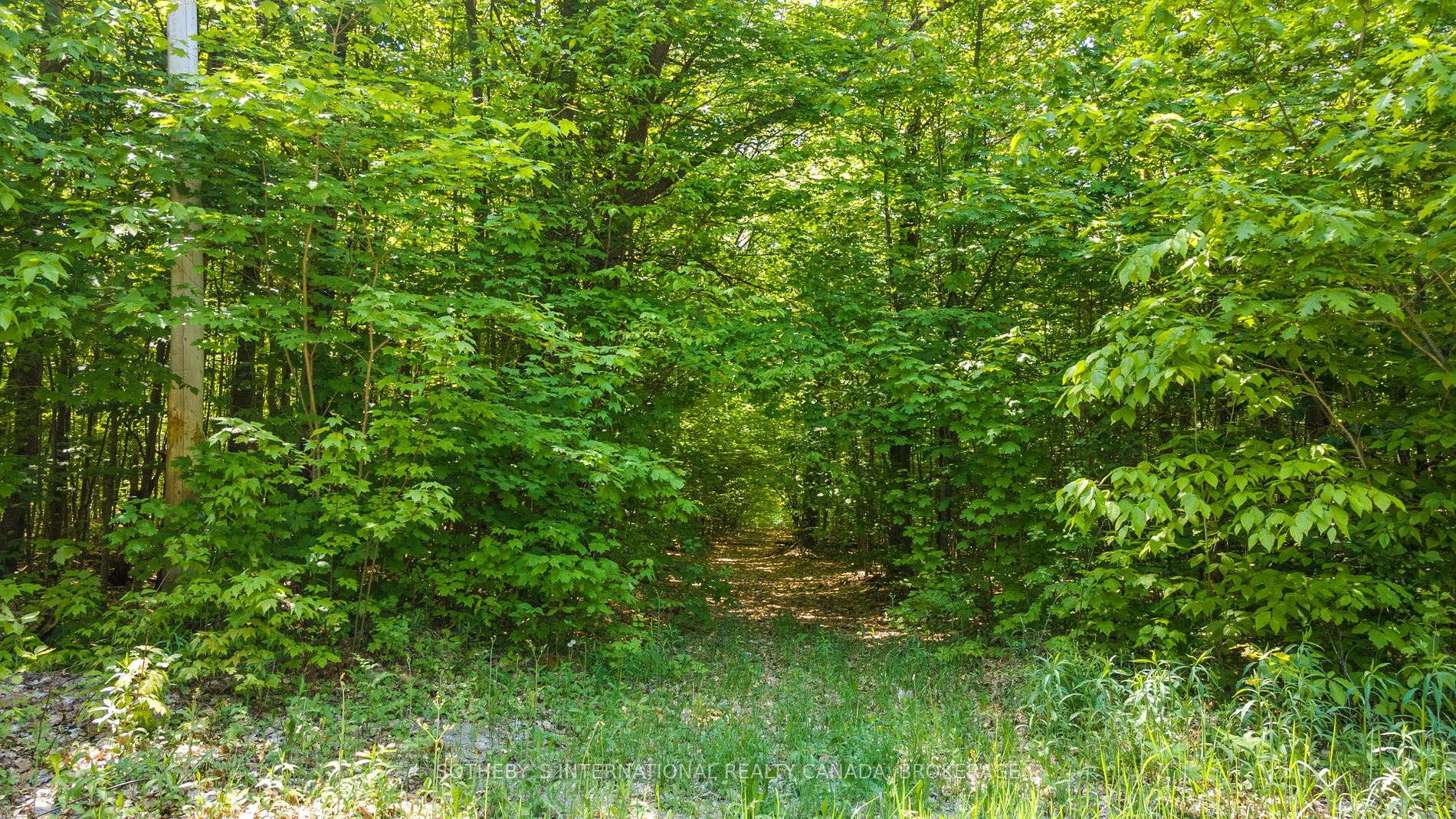 Listing S5814022 - Large Photo # 15
