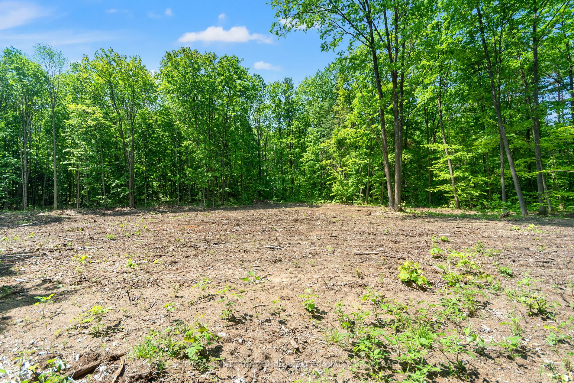 Listing S5814022 - Large Photo # 9