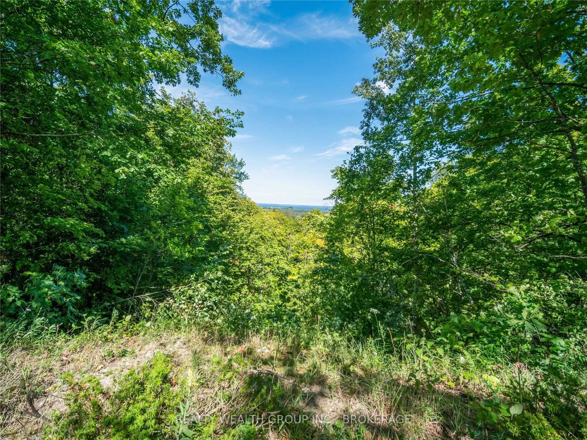 Listing S5821656 - Large Photo # 39