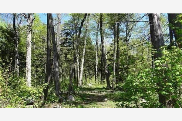 Lot F1 Nippissing Ridge Rd, Tiny