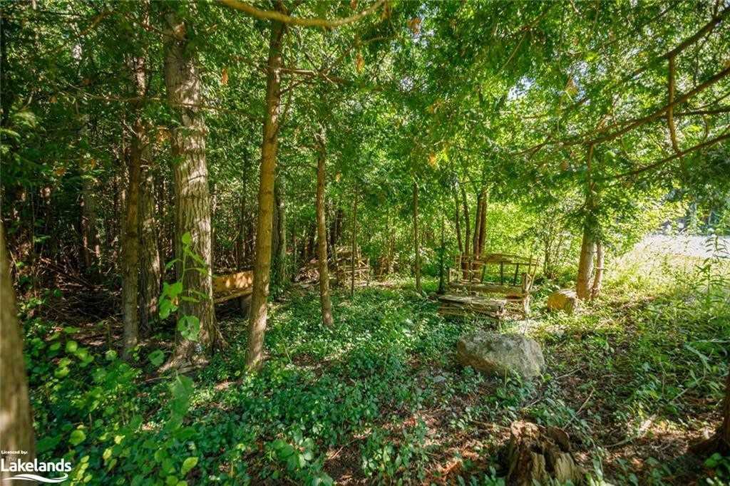 20 Forest Dr