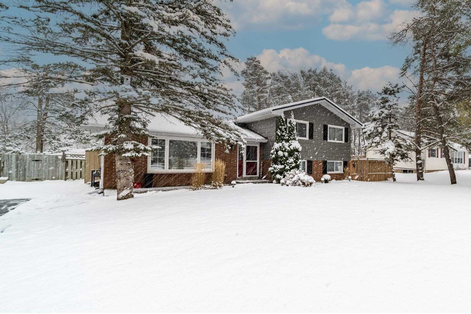 11 Shelswell Blvd