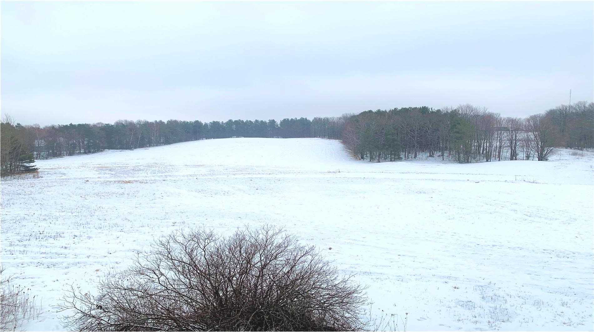 Listing S5880486 - Large Photo # 20