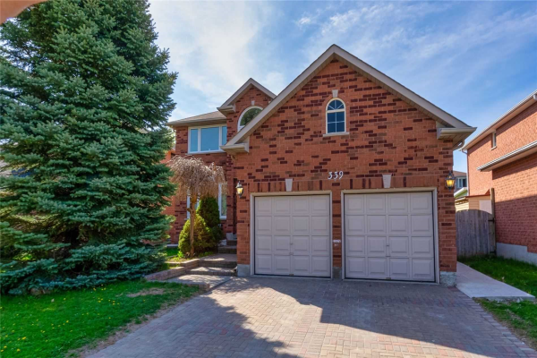 339 Livingstone(Bsmnt) St W, Barrie