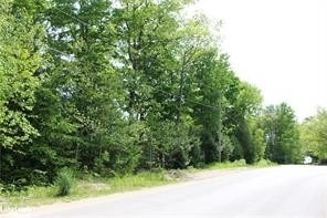 Listing S5885111 - Large Photo # 10