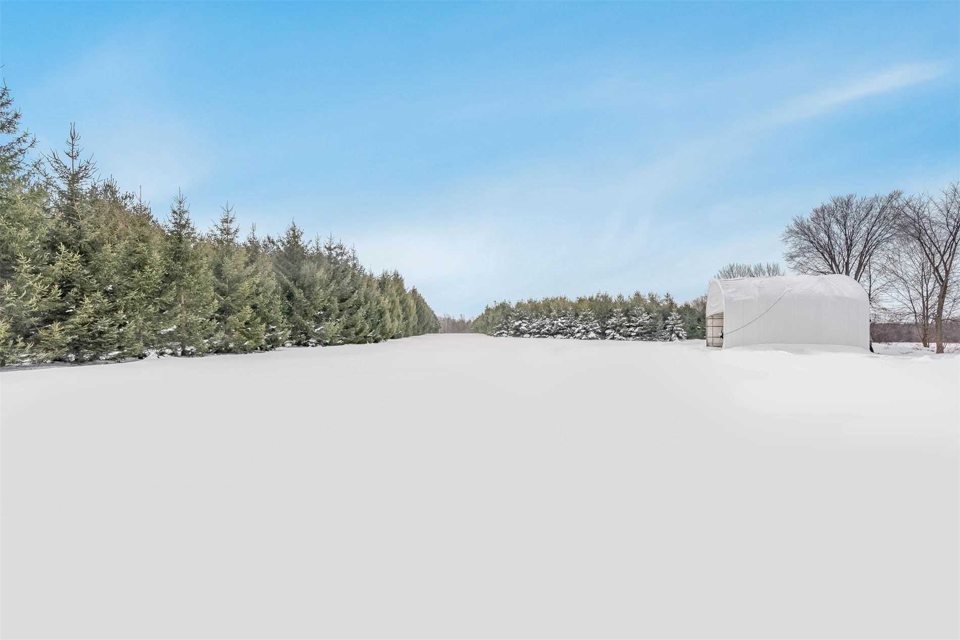 Listing S5894585 - Large Photo # 32
