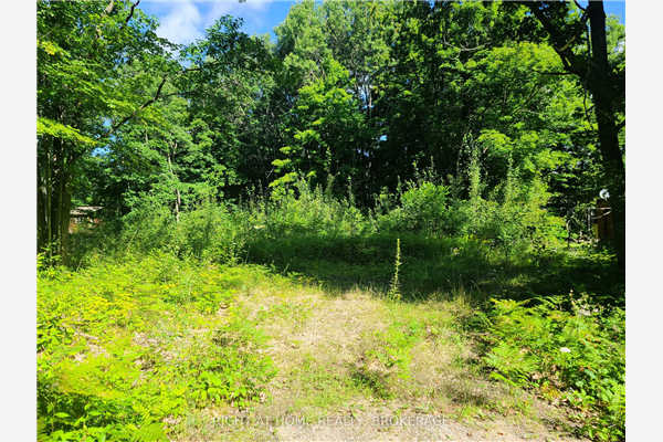 46 Pinecone Ave, Tiny