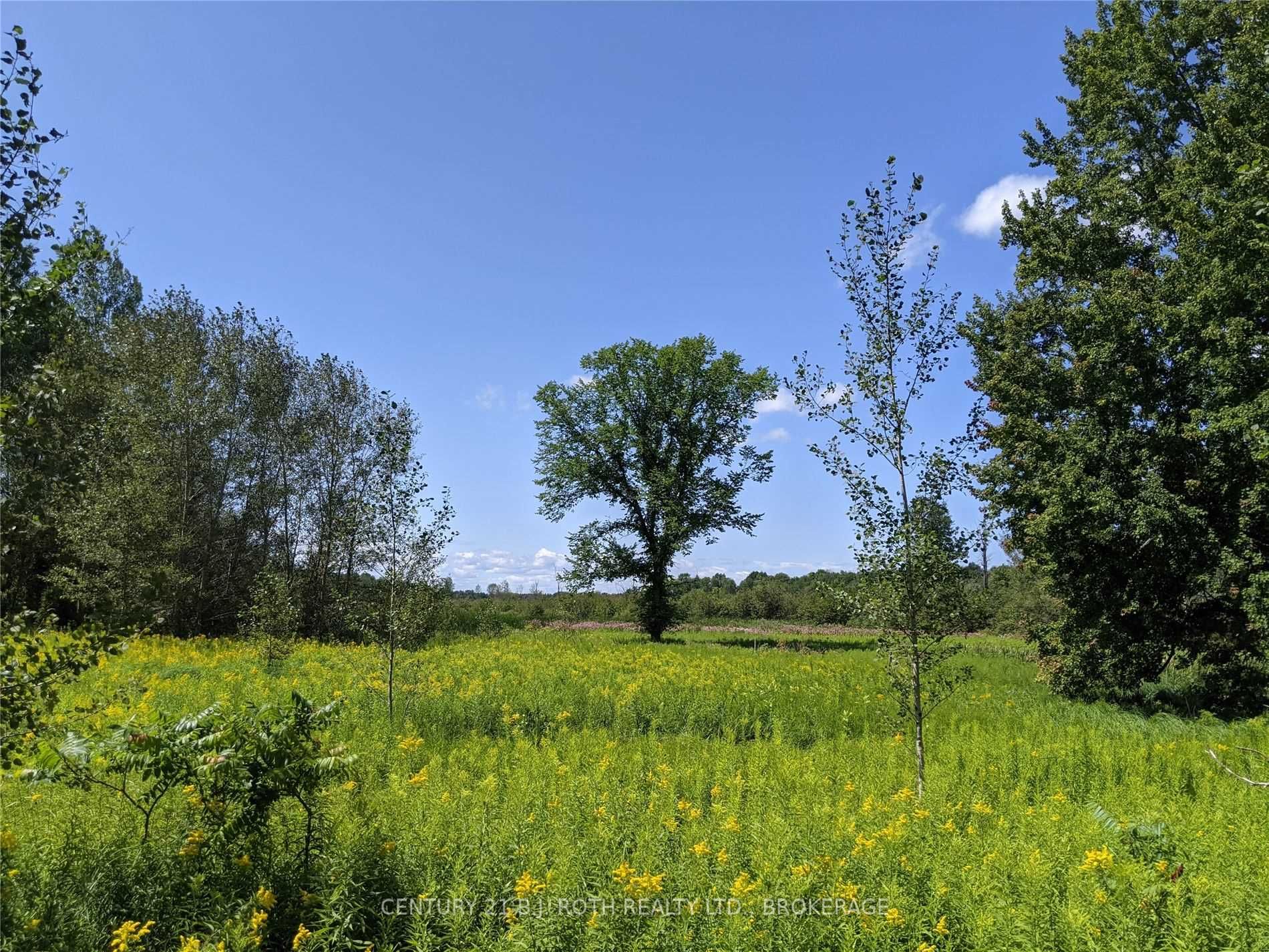 2361 George Johnston Rd
