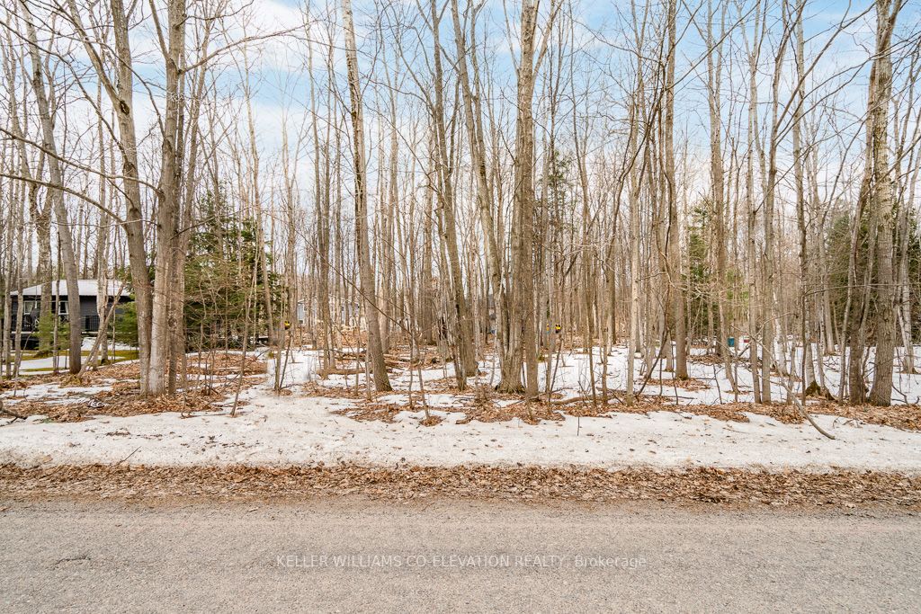 Listing S5905048 - Large Photo # 12