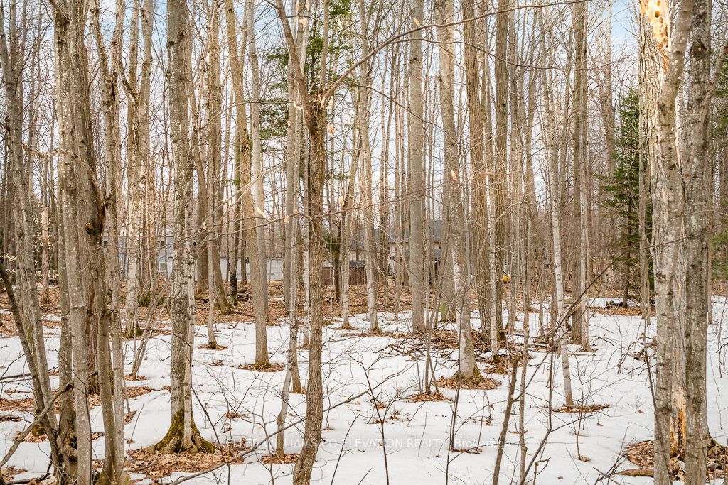 Listing S5905048 - Large Photo # 11