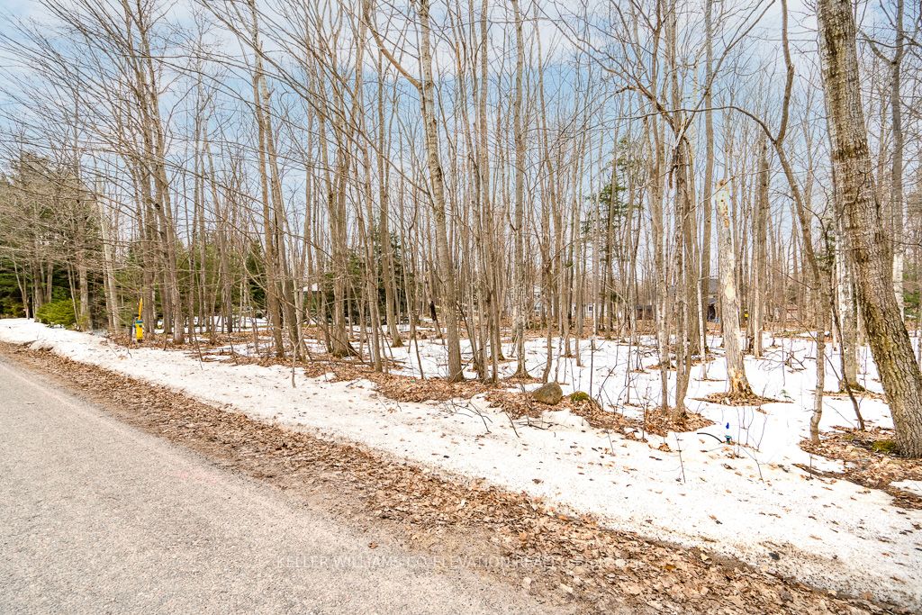 Listing S5905048 - Large Photo # 10