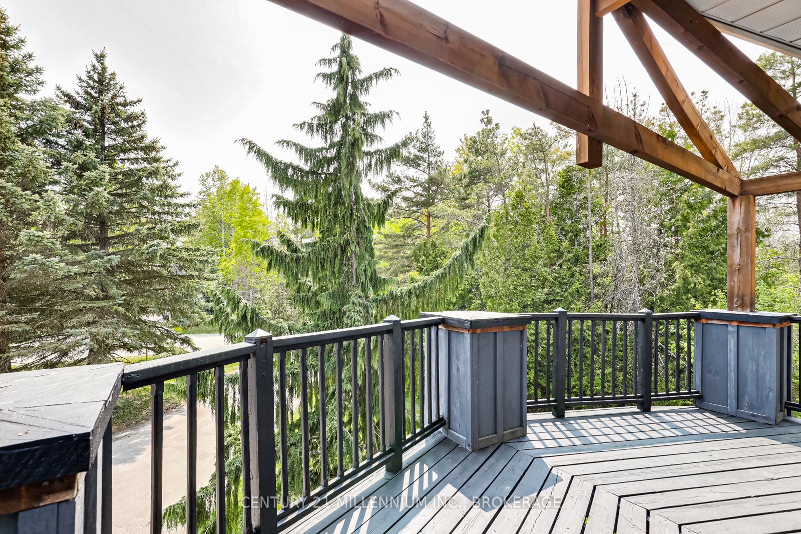 20 Forest Dr