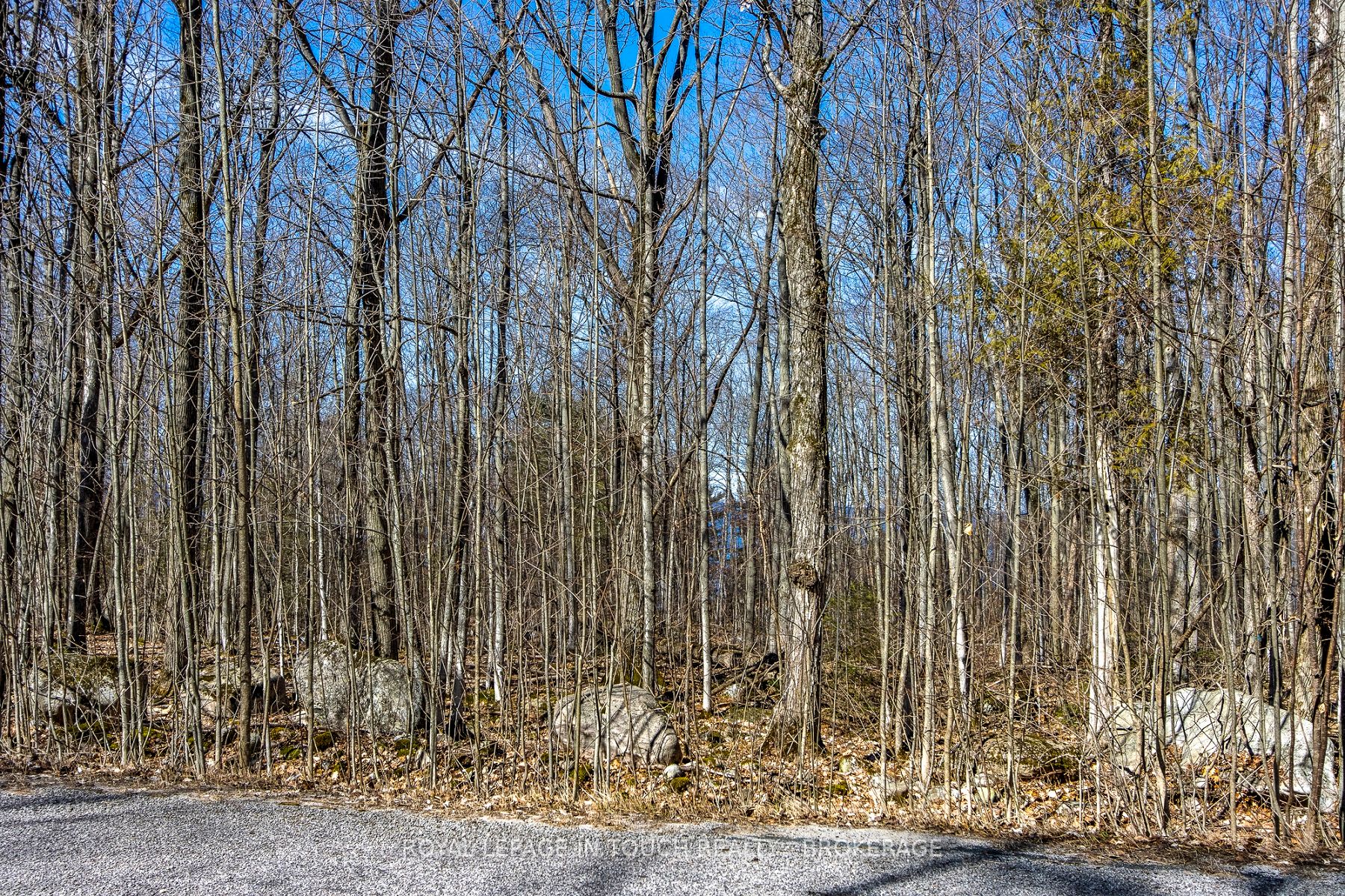 LOT 45 TINY BEACHES Road N