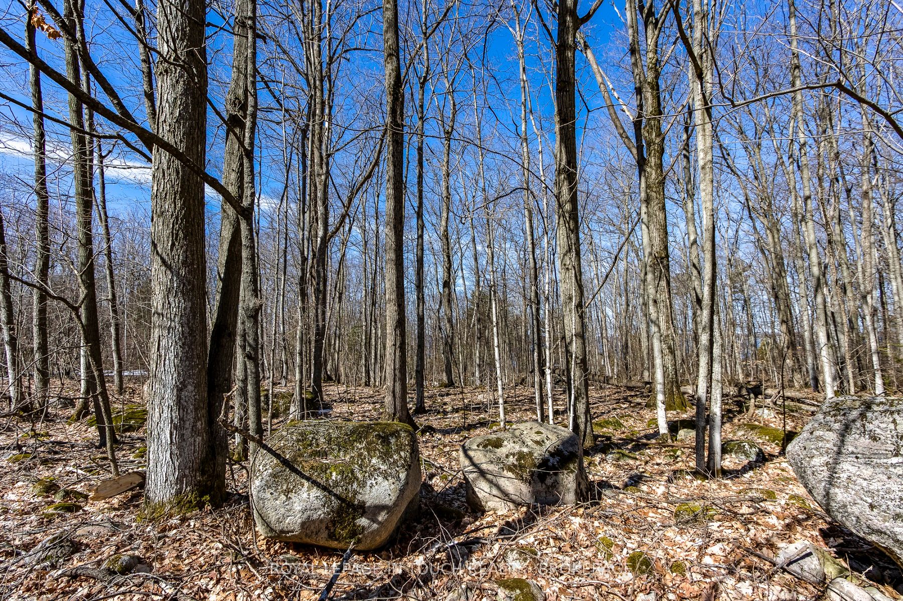 LOT 45 TINY BEACHES Road N