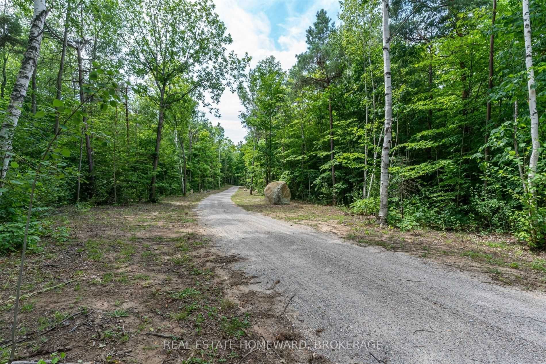 Listing S5934897 - Large Photo # 5