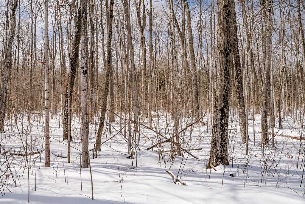 Listing S5935805 - Large Photo # 2