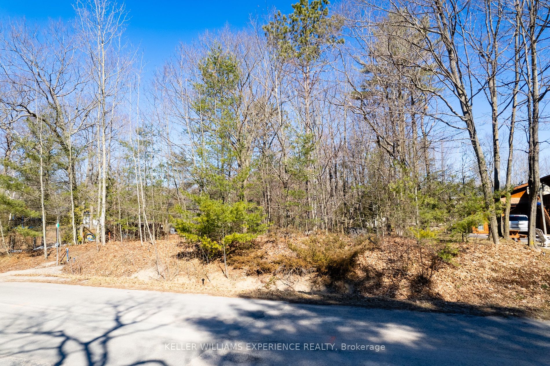 Listing S5941496 - Large Photo # 12