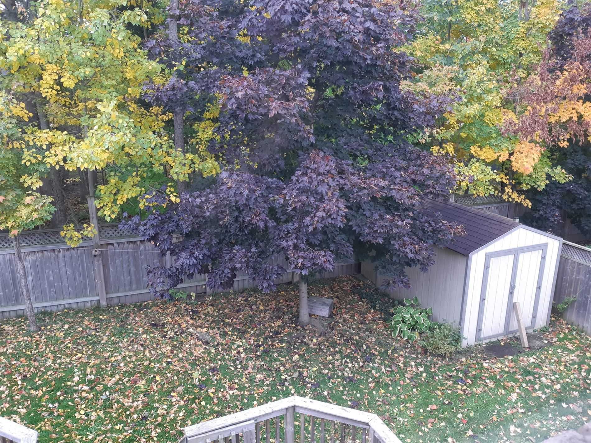 96 Sandringham Dr